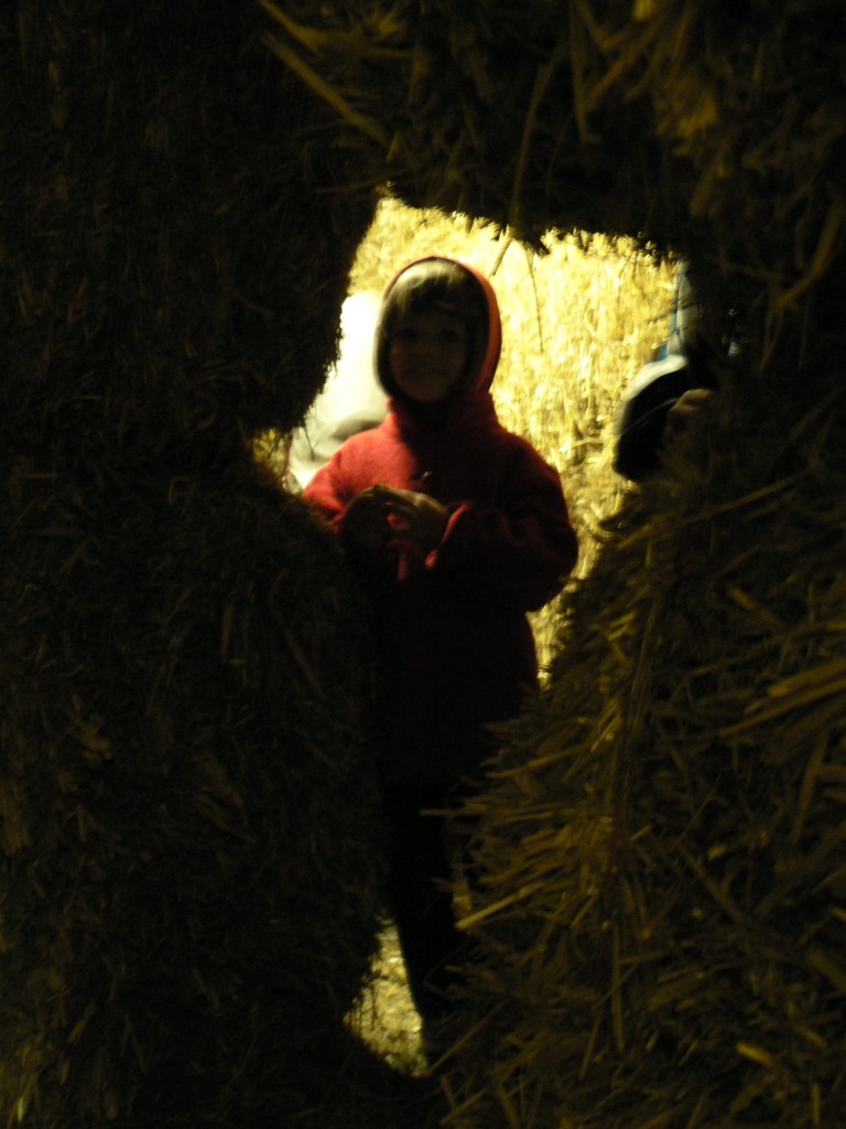 Living hay/Živé seno