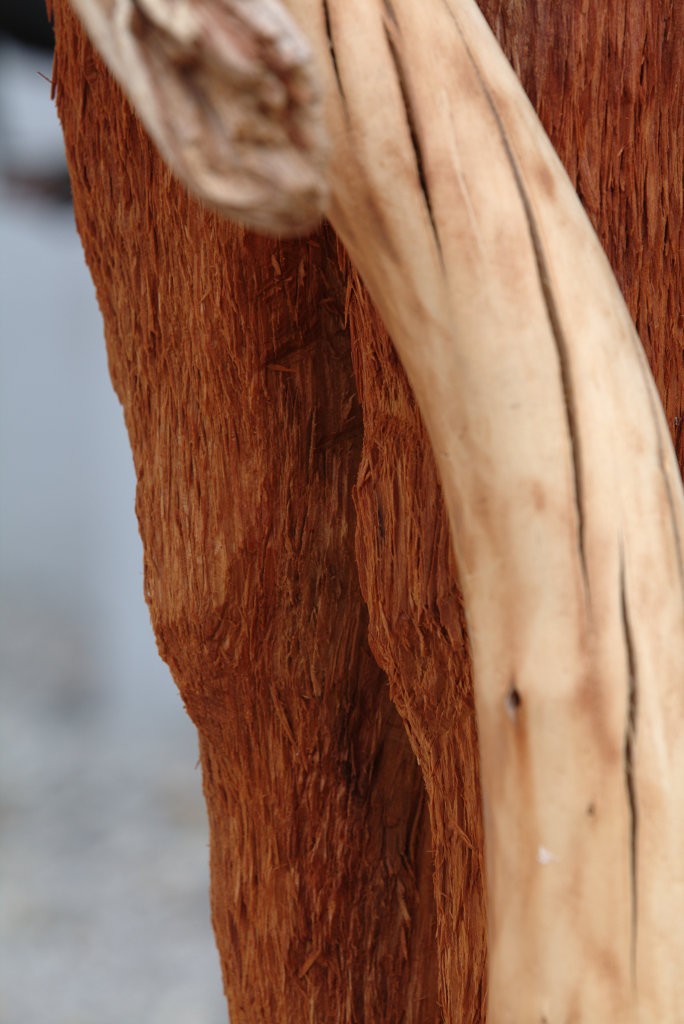 Radikant, 232 × 186 × 278 cm, drevo, 2018