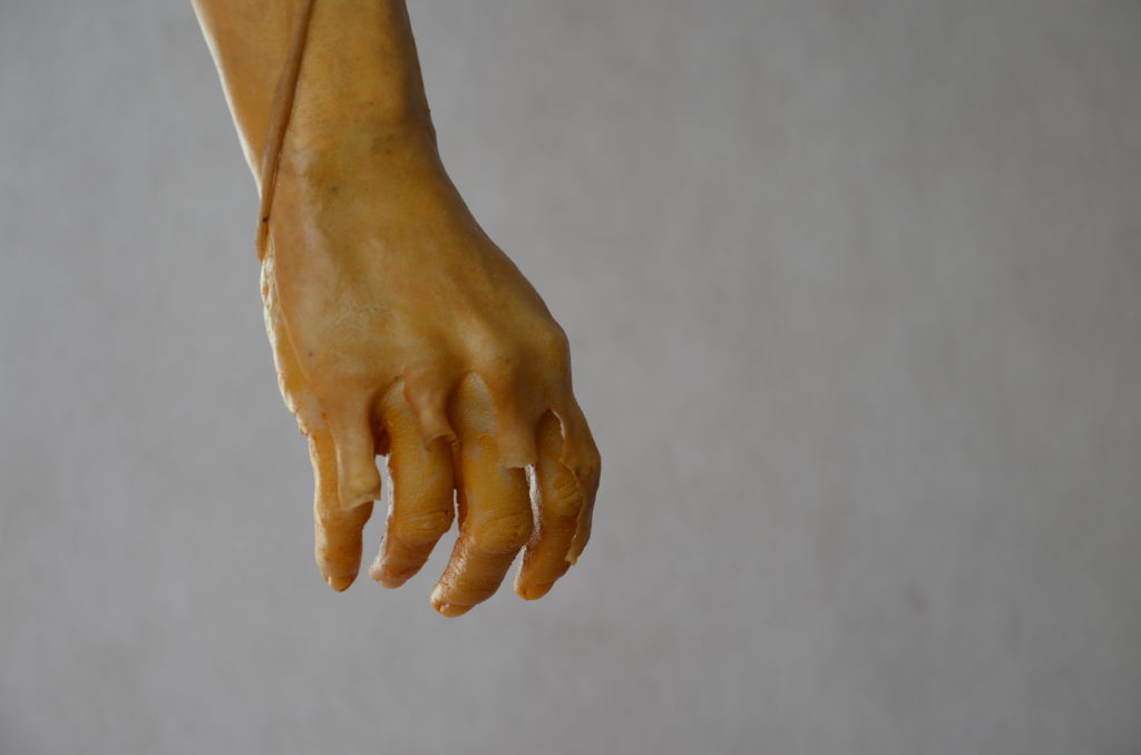 Cribellum, 113 × 27 × 20 cm, leather, bones, epoxy, 2022