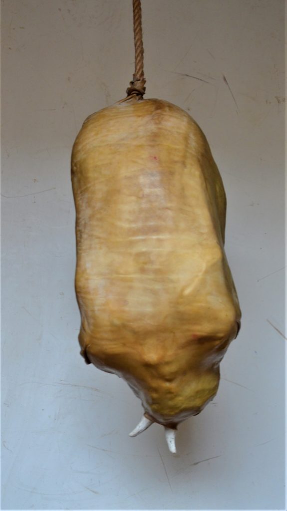 Kokón, 62 × 32 × 29 cm, koža, kosť, lano, 2022