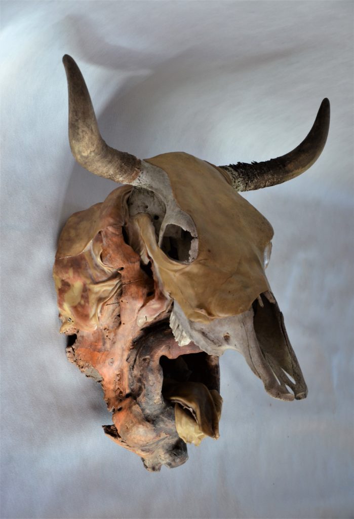 Prototur, 57 × 58 × 77 cm, leather, wood, bones 2022